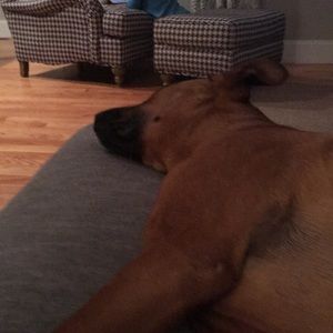 Meet your Posher, Michael